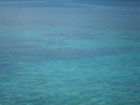 Apartment Perla Lumbarda